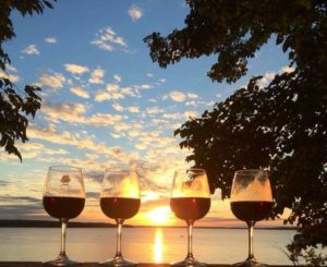 Carlos Creek wine at sunset