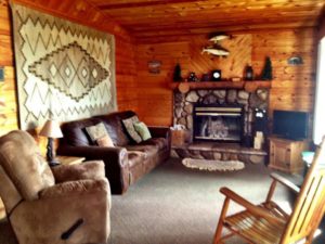 Cabin living room