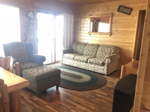 Cabin #5 Living Area